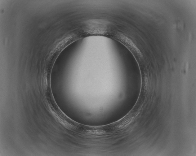 X0000085230541200703091153