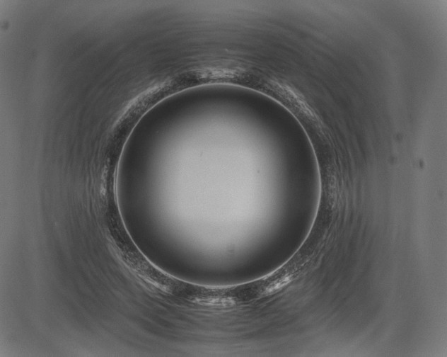 X0000085230543200703091154