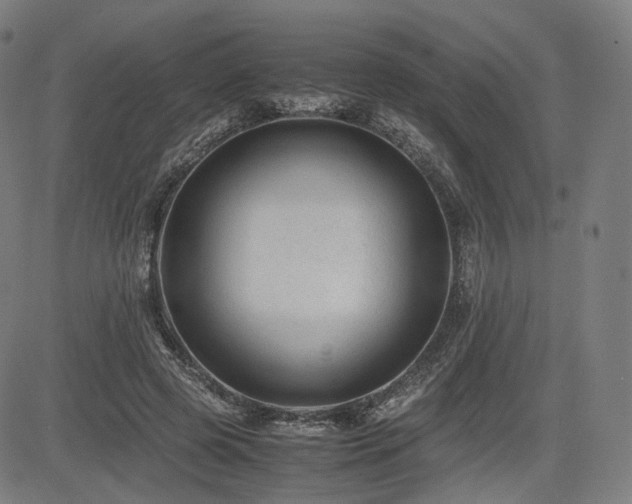 X0000085230545200703091154