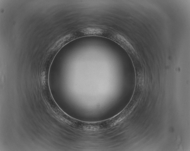 X0000085230549200703091154