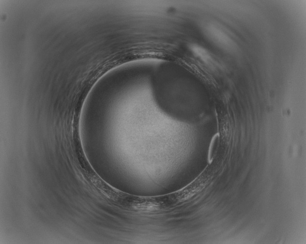 X0000085230551200703091154