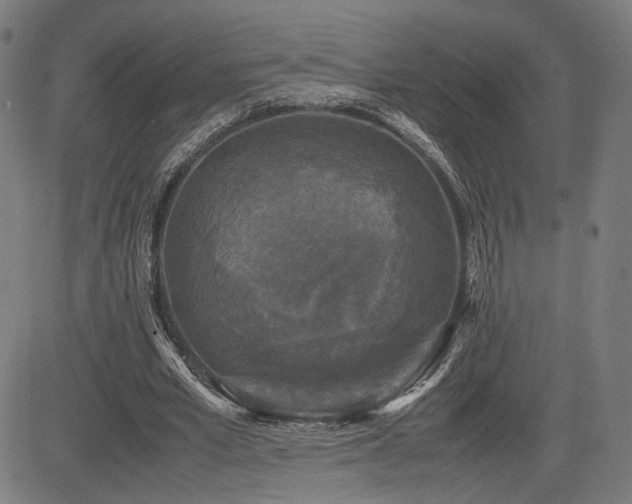 X0000085230581200703091153