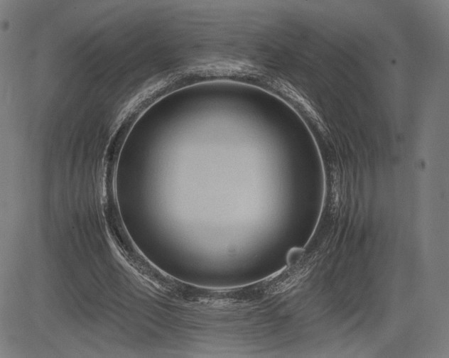 X0000085230582200703091153