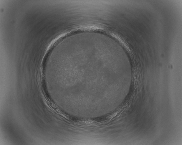 X0000085230583200703091153