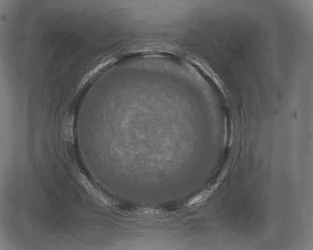 X0000085230585200703091153