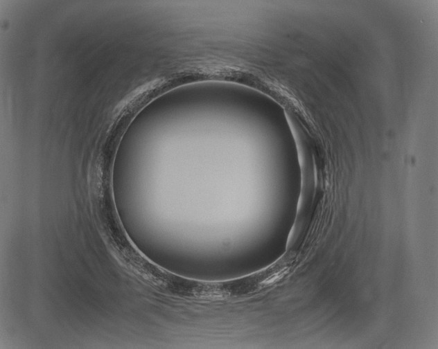 X0000085230587200703091153
