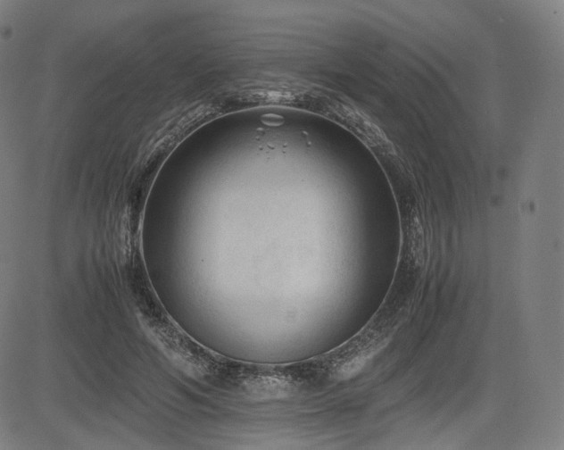 X0000085230594200703091153