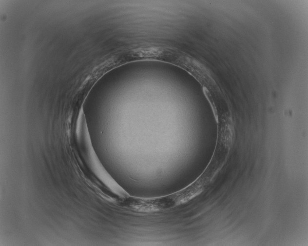 X0000085230604200703091153