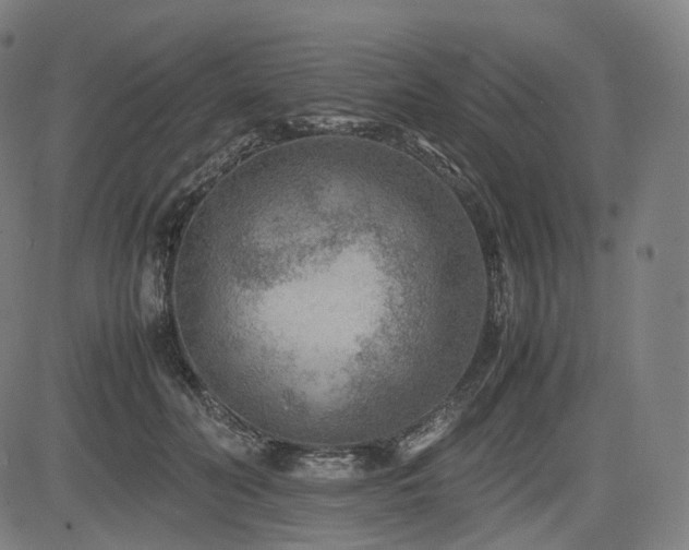 X0000085230606200703091153