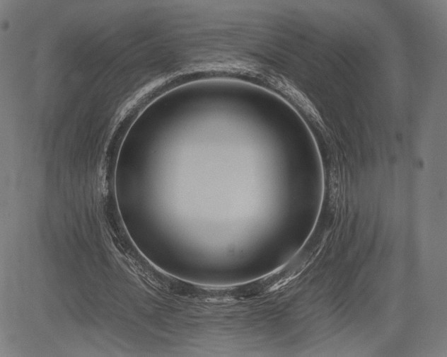 X0000085230628200703091152