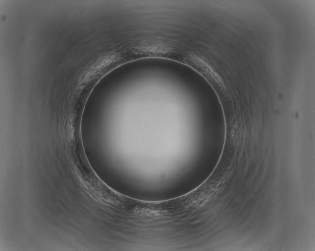 X0000085230635200703091152