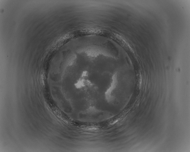 X0000085230643200703091152