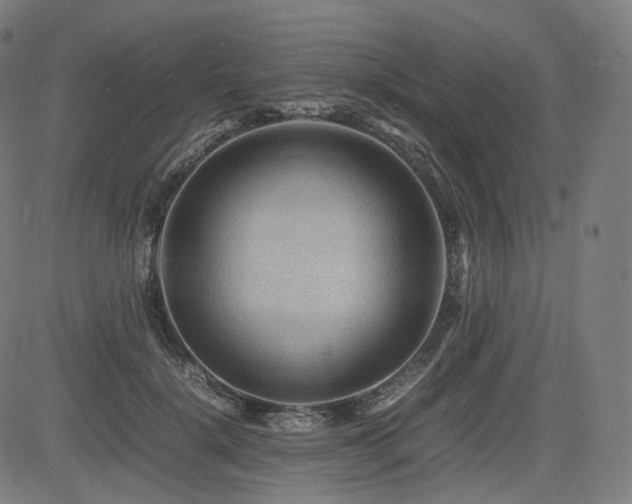 X0000085230652200703091152
