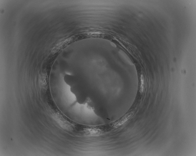 X0000085230654200703091152