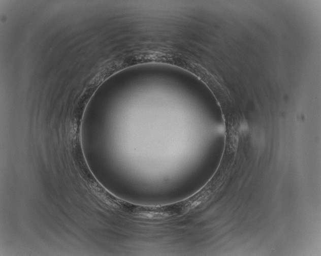 X0000085230657200703091152