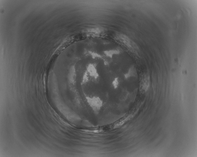 X0000085230661200703091152