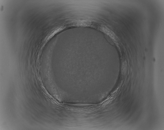 X0000085230673200703091152