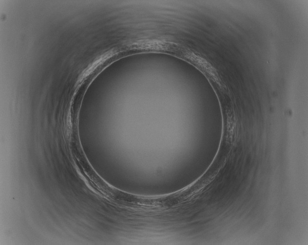 X0000085230674200703091152