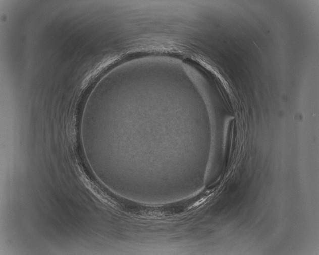 X0000085230677200703091152