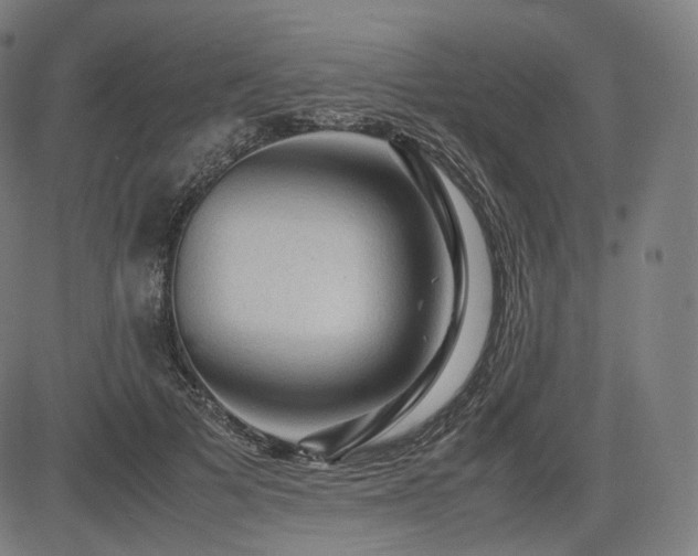 X0000085230697200703091151