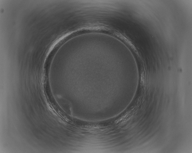 X0000085230724200703091150
