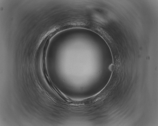 X0000085230727200703091150