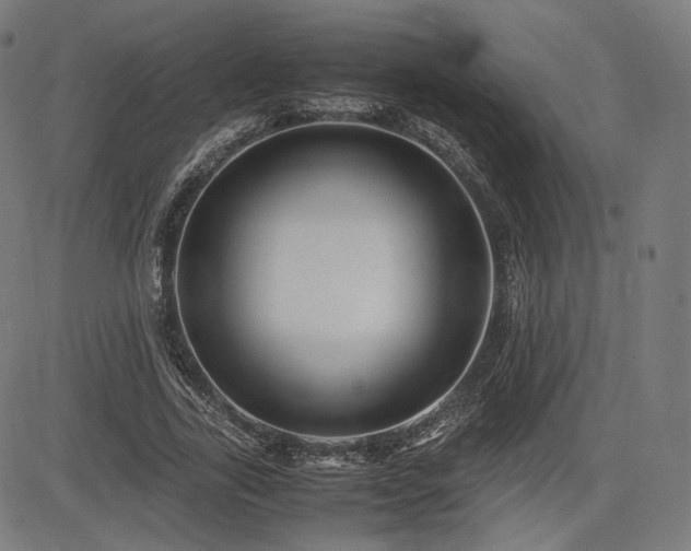 X0000085230731200703091150
