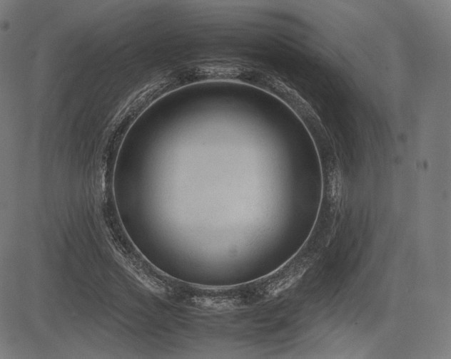 X0000085230733200703091150