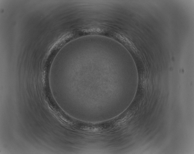X0000085230735200703091150