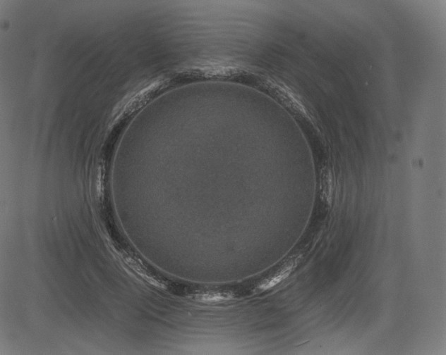 X0000085230740200703091150