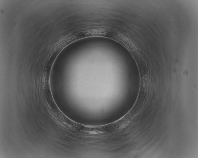 X0000085230741200703091150