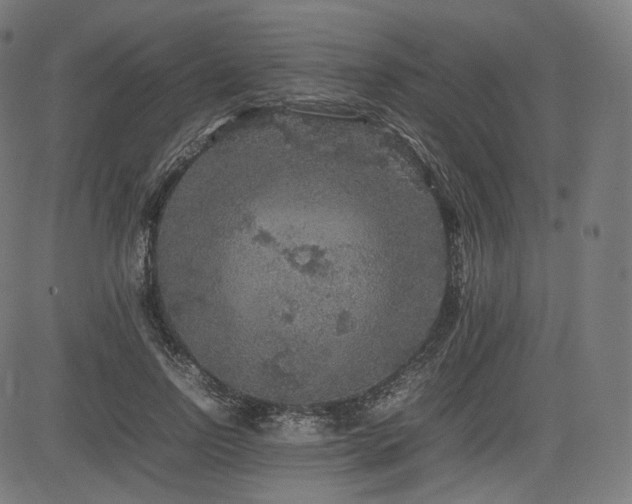 X0000085230742200703091150