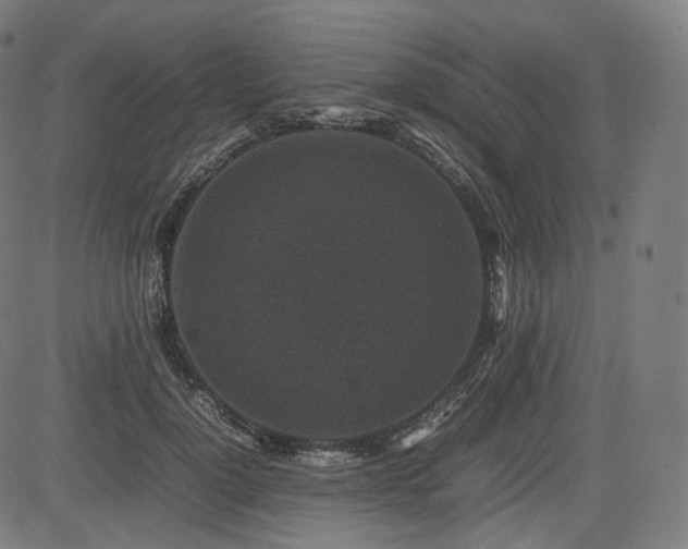 X0000085230748200703091151