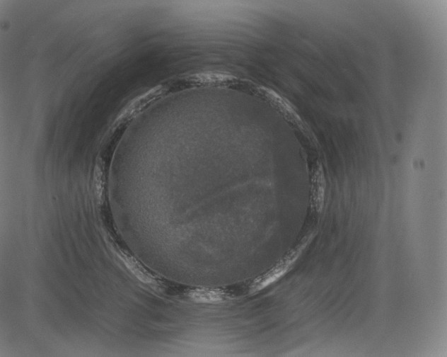 X0000085230762200703091151