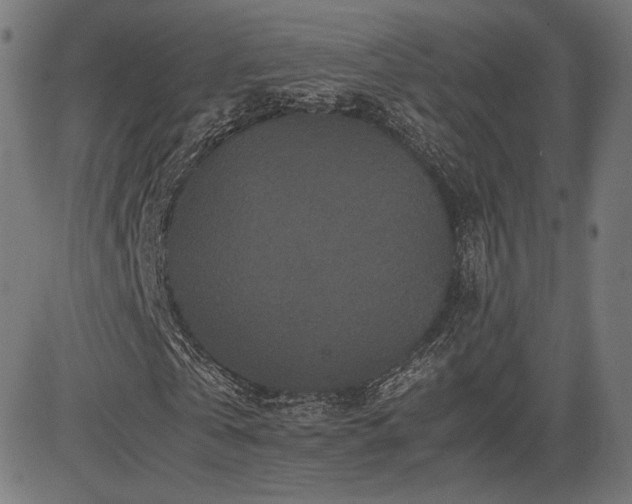 X0000085230769200703091150
