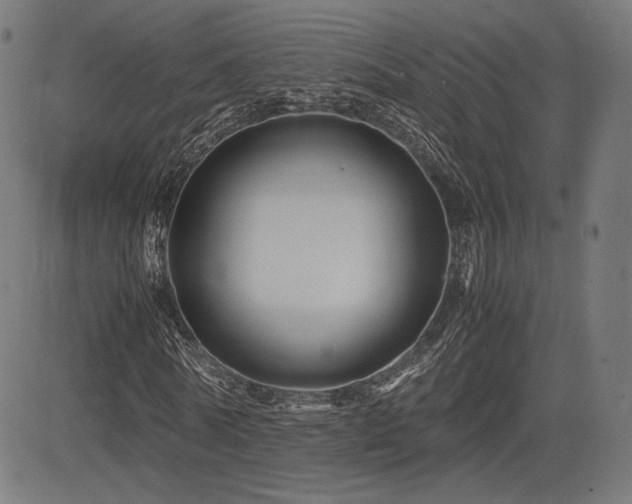 X0000085230770200703091150