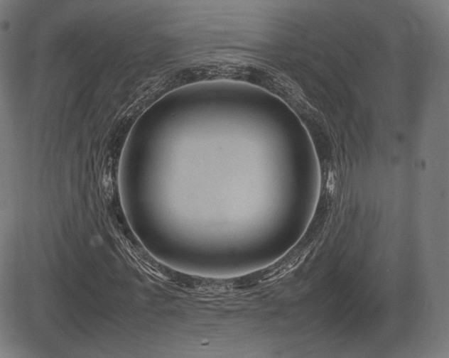 X0000085230771200703091150