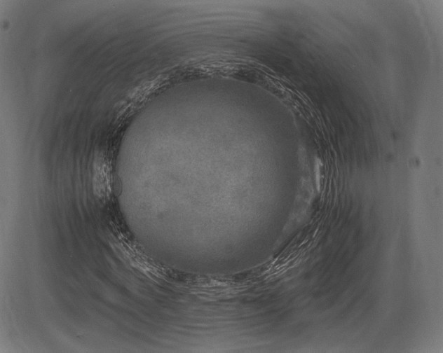 X0000085230772200703091150