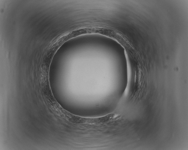 X0000085230773200703091150