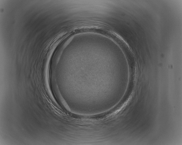 X0000085230777200703091150