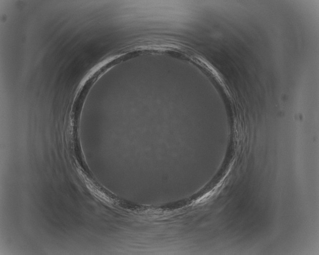 X0000085230779200703091150