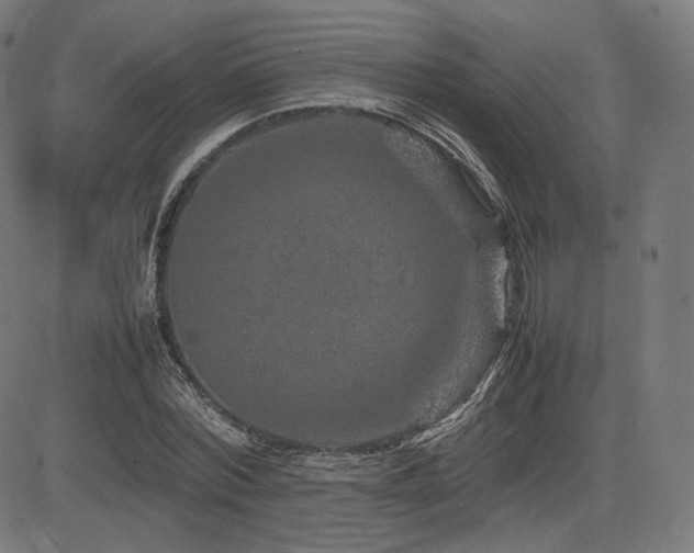 X0000085230780200703091150