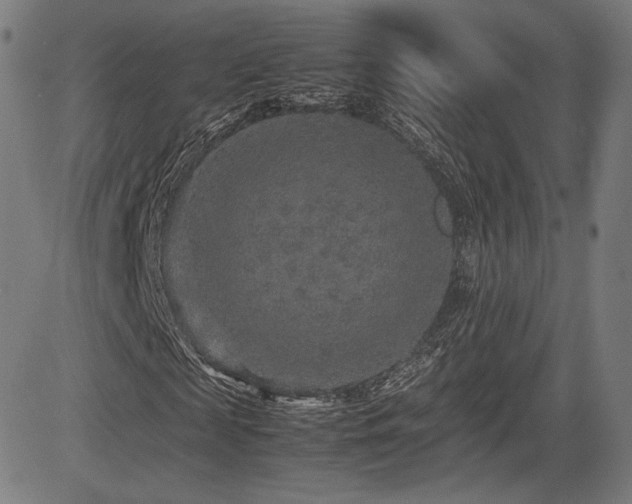 X0000085230817200703091149