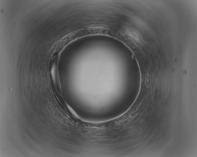 X0000085230821200703091149
