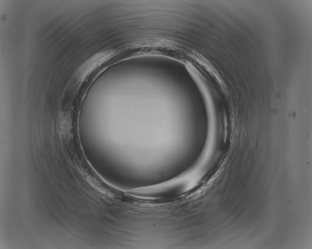 X0000085230826200703091149