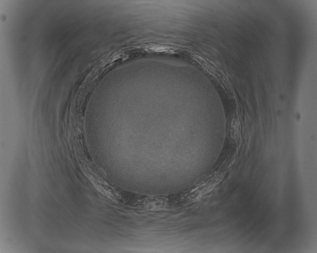 X0000085230865200703091149