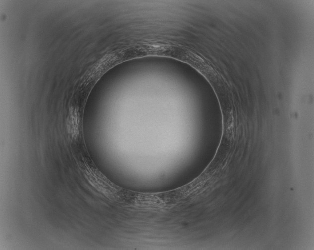 X0000085230866200703091148