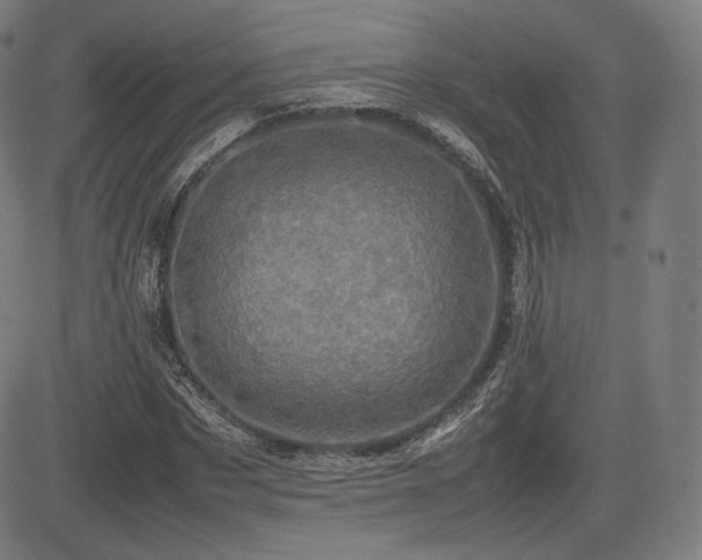 X0000085230873200703091148