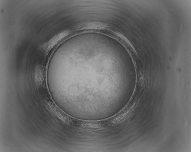 X0000085230874200703091148