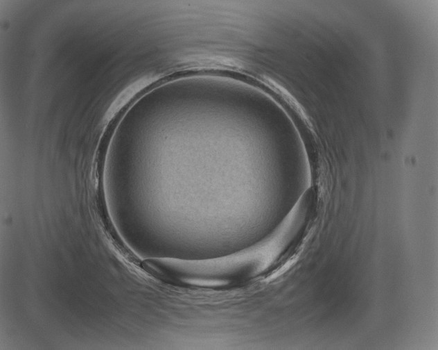 X0000085230885200703091148
